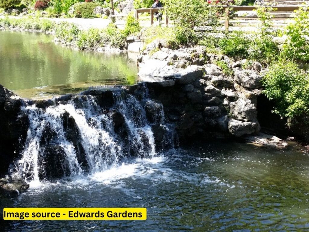 Edwards Gardens - Top 5 Best Places to Visit in North York