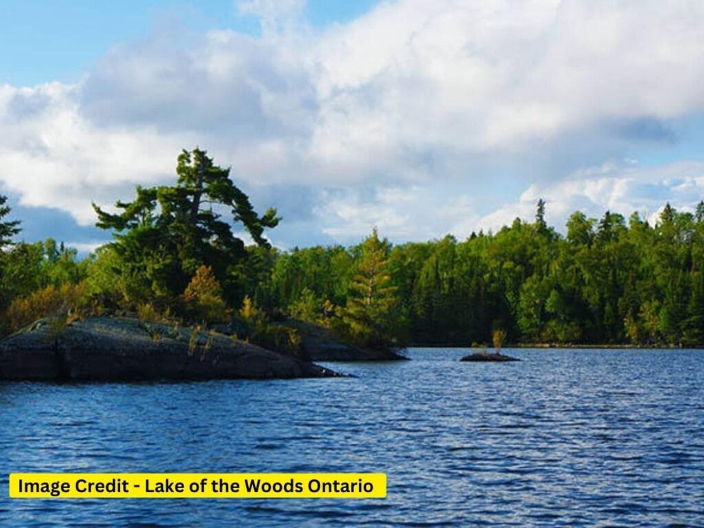 Lake of the Woods Ontario – Top 5 Best Places to Visit in Kingston