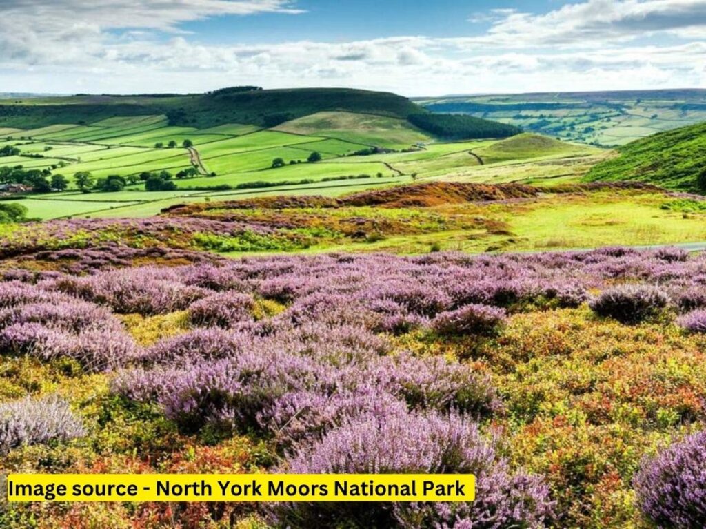 North York Moors National Park - Top 5 Best Places to Visit in North York