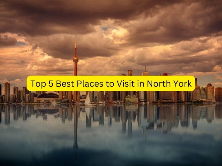 Top 5 Best Places to Visit in North York