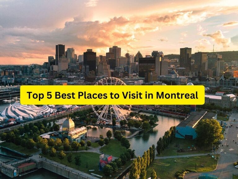 Top 5 Best Places to Visit in Montreal